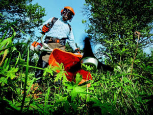 Gärtner und Landschaftspfleger in Tarup