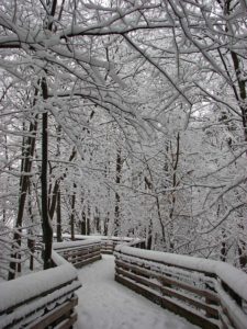 schneeräumen und winterdienst schützt vor glätte