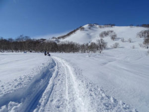 Winterdienst und Schneeräumen in Naunhof bei Grimma